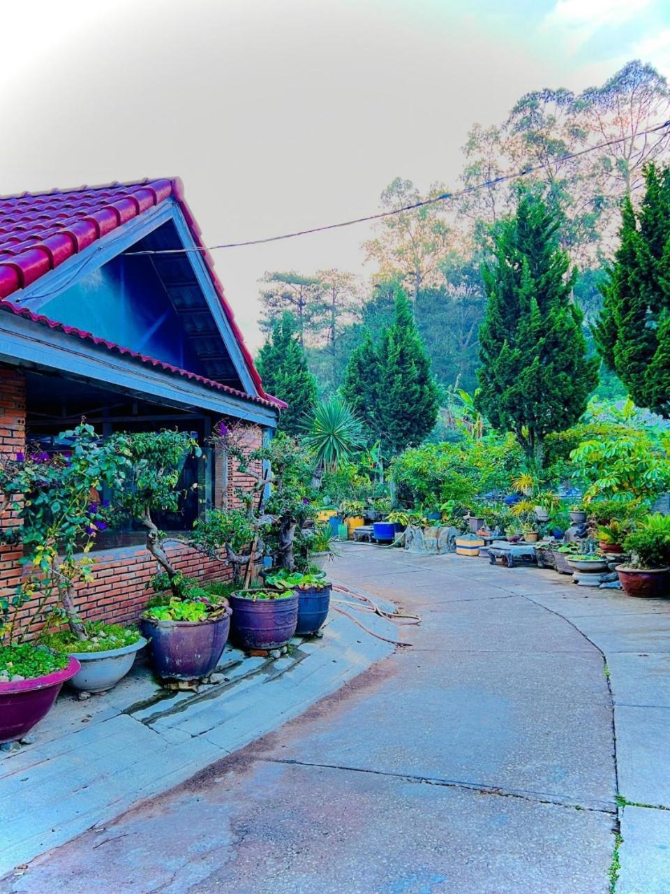 Hoa Chuong - Villa - Homestay Đà Lạt Ngoại thất bức ảnh